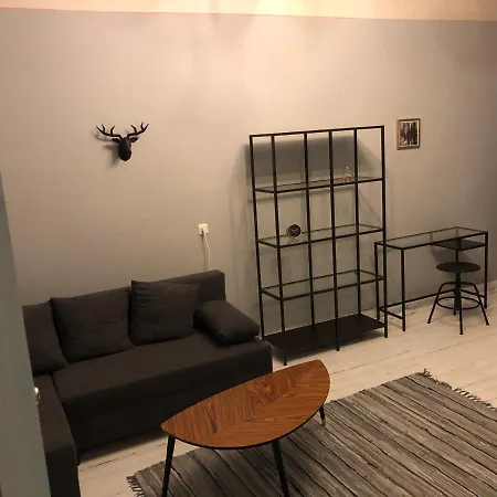 Modern/old City Centre Apartment